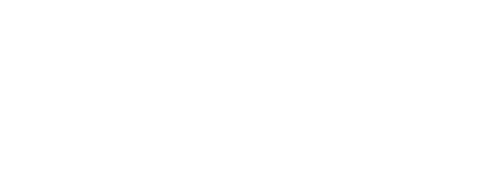 logo chincholle s w