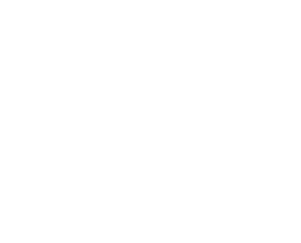 logo chincholle sbl w
