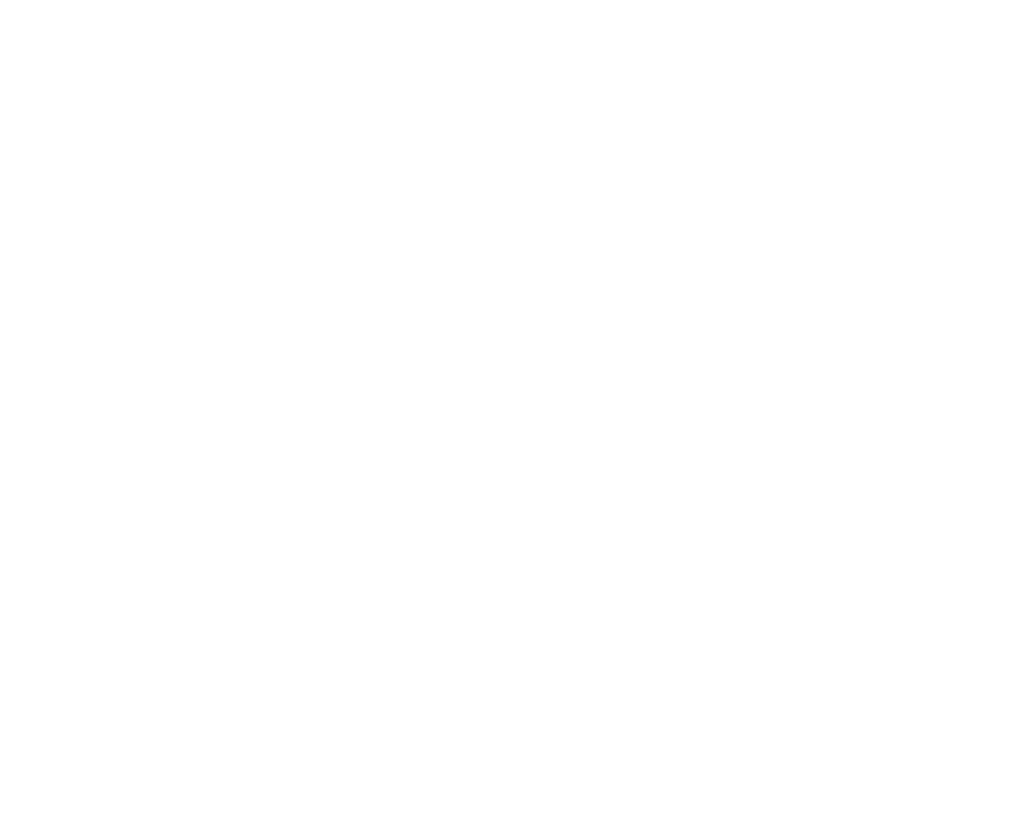 logo chincholle w